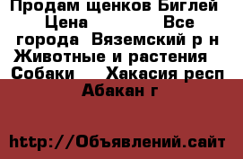 Продам щенков Биглей › Цена ­ 15 000 - Все города, Вяземский р-н Животные и растения » Собаки   . Хакасия респ.,Абакан г.